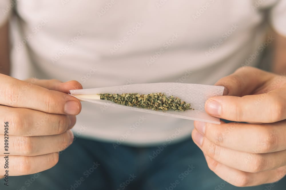 Person rolling a cannabis joint by hand.
